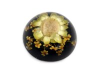 Cabochon aus schwarzem Harz mit einer echten gelben Blume...