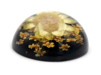 Cabochon aus schwarzem Harz mit einer echten gelben Blume...