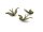 3 Anhänger Vogel Schwalbe in antik Bronze in 3D