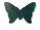 Schmetterling aus Vintage Kunststoff in waldgrün 7 x 5 cm