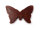 Schmetterling aus Vintage Kunststoff in braun marmoriert 7 x 5 cm