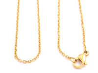 Edelstahlkette Gold 50cm fertige Gliederkette 2x1,5 mm...