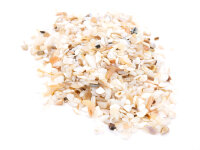 Glasmedaillon Einleger Muschelstücke 20g