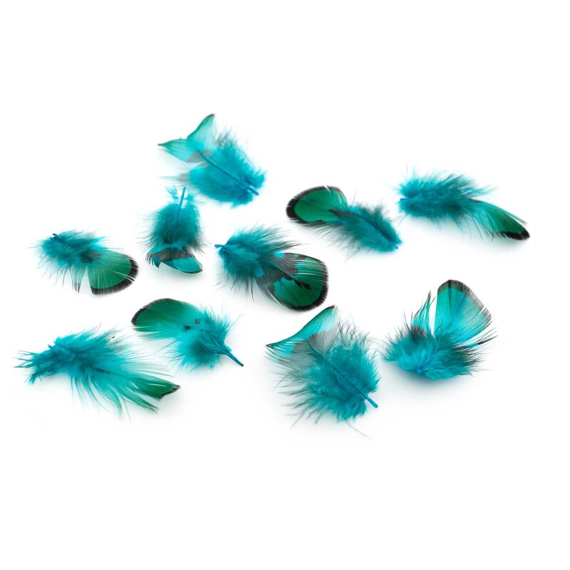 Federn Türkis-Grün 2,2-3,7 cm 10 Stück
