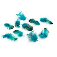Federn Türkis-Grün 2,2-3,7 cm 10 Stück