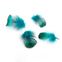 Federn Türkis-Grün 2,2-3,7 cm 10 Stück