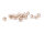 Glasschliffperlen als Bicone in beige 6 mm 40 Stück