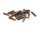 Kokosnuss Perlen länglich 20 Stk Dunkelbraun 15x5 mm