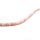Heishi Perlen aus Pink Opal 4x2mm 20 Stück