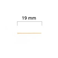 Nietstifte aus Messing 14k Gold filled 19mm 2 Stück