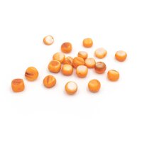 Perlen aus Perlmutt in orange 7-9mm 20 Stück