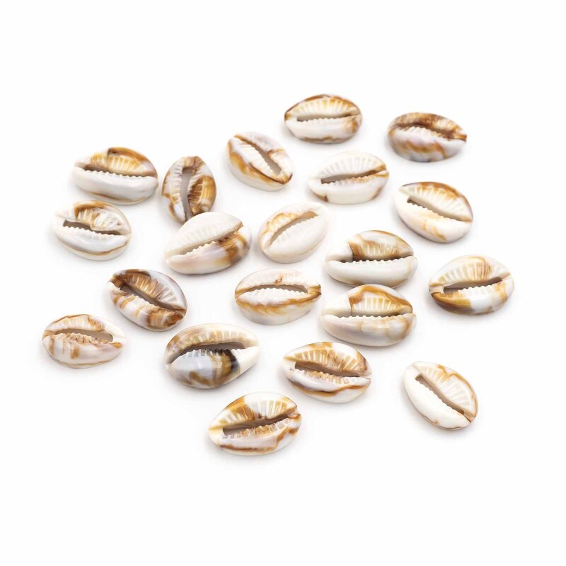 Verbinder als Kaurimuscheln aus Acryl in weiß und braun 20 Stück