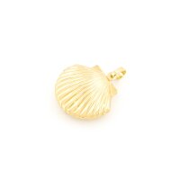 Medaillon als Muschel aus Messing 23 mm in Goldfarben...