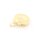 Medaillon als Muschel aus Messing 23 mm in Goldfarben langanhaltend beschichtet
