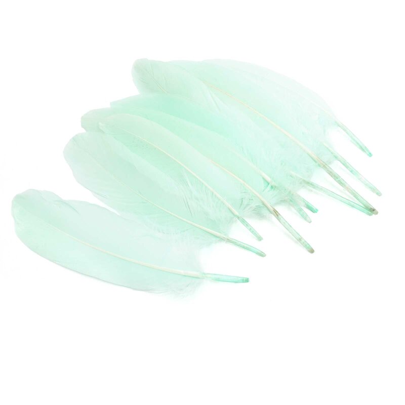 Gänsefedern in Mint gefärbt 16 - 21 cm 10 Stück