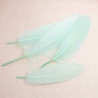 Gänsefedern in Mint gefärbt 16 - 21 cm 10...