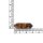 Doppelendiger Tigerauge-Kristall in Bernsteinfarben 30 x 8 mm
