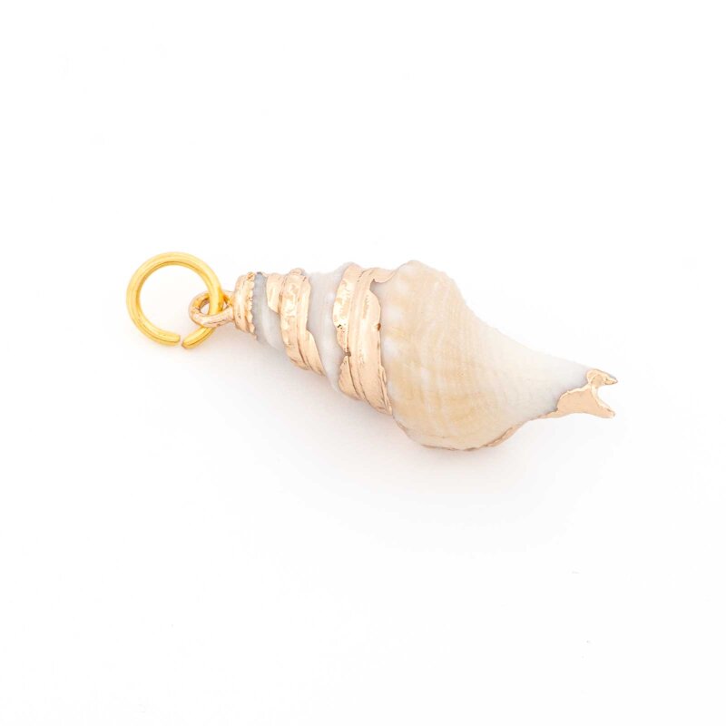 Anhänger Meeresschnecke mit goldener Verzierung 29 x 11 mm 1 Stück
