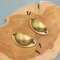 Muschelgriffe in Messingfarben 8 x 3,5 cm mit Schrauben 2...