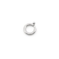 Federring 10 mm Edelstahl 304 Schmuckverschluss in...