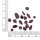 Granat Nuggets und Perlen im Mix, Naturstein, 3 bis 8 mm, 30 g