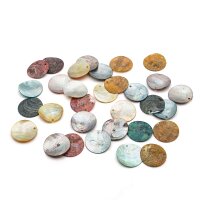 Perlmuttscheiben bunt 25 mm Muschelscheiben Mix 30g