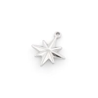 Anhänger Polarstern Edelstahl platinfarben 21 mm 1...
