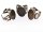 2 Ringrohlinge in antik Bronze für 18 x 13 mm Cabochons