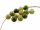 Perlen natürliche Jade olivefarben 8 mm 20 Stück