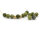 Perlen natürliche Jade olivefarben 8 mm 20 Stück