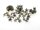 50 filigrane Perlkappen "Ast" in antik Bronze, 13 mm