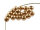 40 glänzende Glaswachsperlen in beige,  8 mm