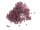 500 Rocailles Perlen in aubergine, 2 mm