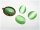 6 Cabochon 18 * 13 Cateye Glas frühlingsgrün