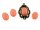 6 Cabochon Cateye Glas in orange, 14 x 10 mm